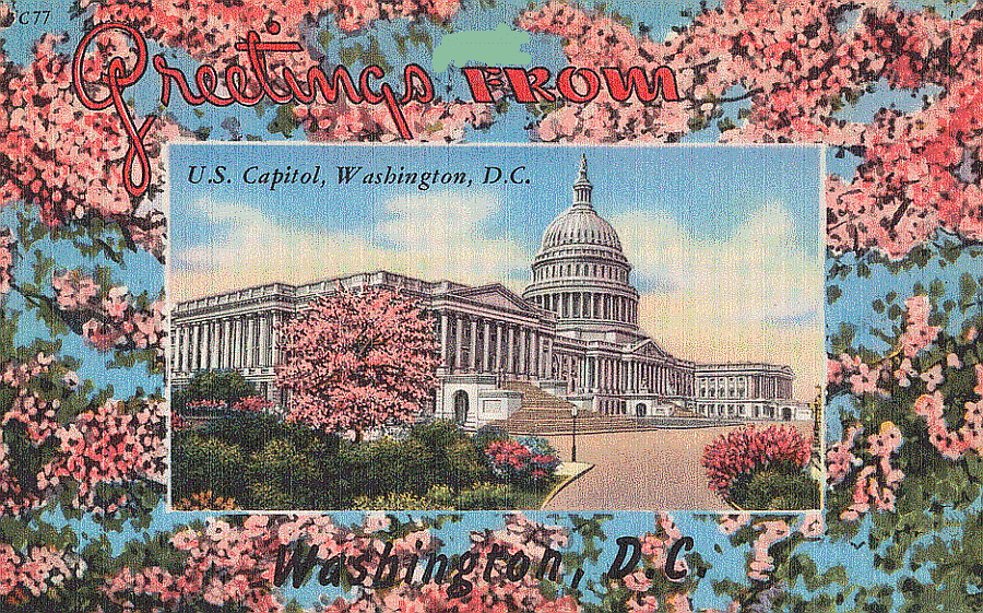 Vintage Postcards of Washington DC